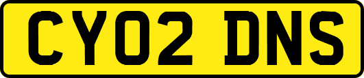 CY02DNS