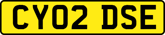 CY02DSE