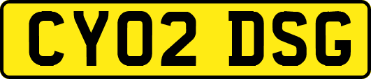 CY02DSG