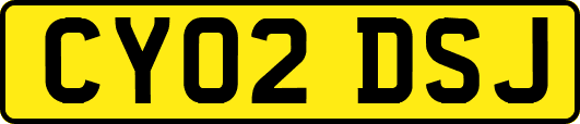 CY02DSJ