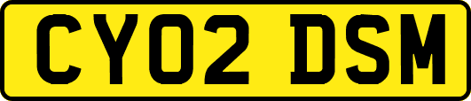 CY02DSM