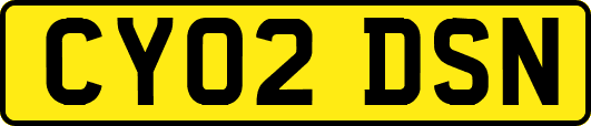 CY02DSN