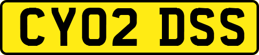 CY02DSS