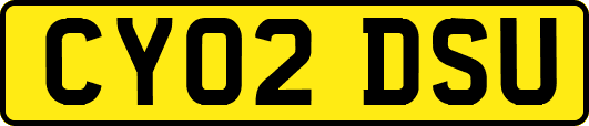 CY02DSU