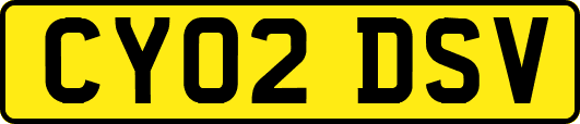 CY02DSV