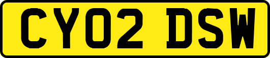 CY02DSW