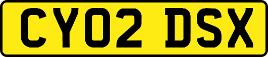 CY02DSX