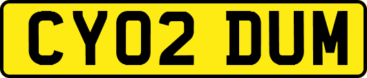 CY02DUM