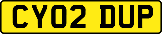 CY02DUP