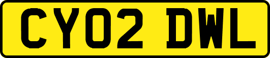 CY02DWL