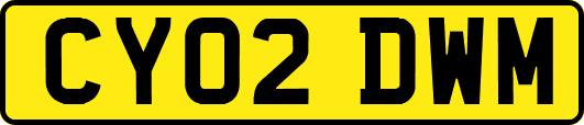 CY02DWM