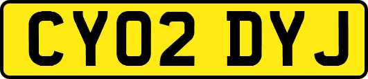 CY02DYJ