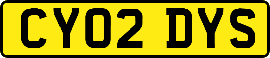 CY02DYS