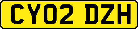 CY02DZH