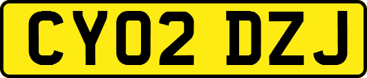 CY02DZJ