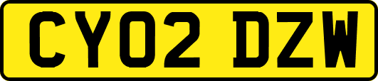 CY02DZW