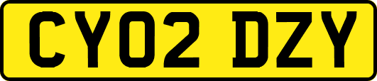CY02DZY