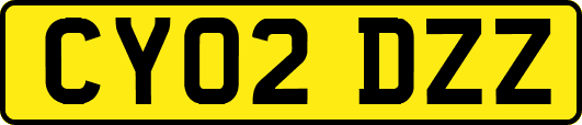 CY02DZZ