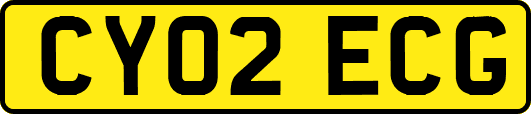 CY02ECG