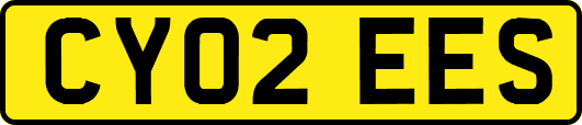 CY02EES
