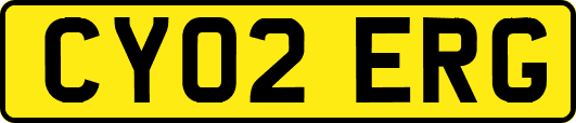 CY02ERG