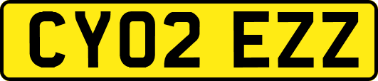 CY02EZZ