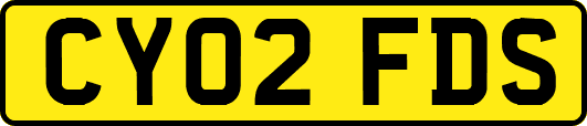 CY02FDS