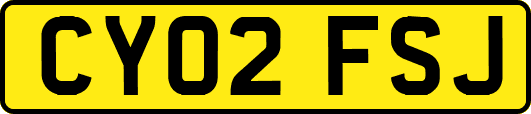 CY02FSJ