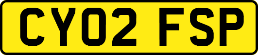 CY02FSP