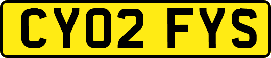 CY02FYS