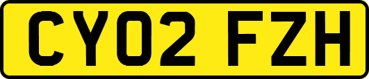 CY02FZH