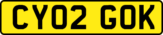 CY02GOK