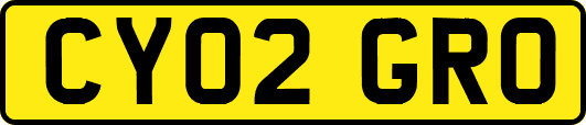 CY02GRO