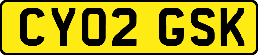 CY02GSK