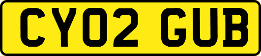 CY02GUB