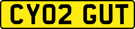 CY02GUT