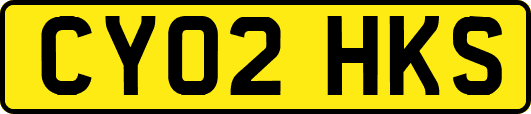 CY02HKS