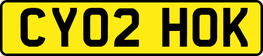 CY02HOK