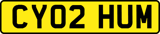 CY02HUM