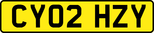 CY02HZY