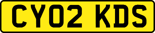 CY02KDS