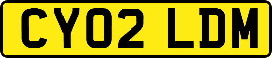 CY02LDM
