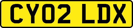 CY02LDX