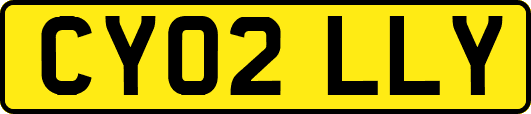 CY02LLY