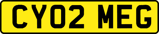 CY02MEG