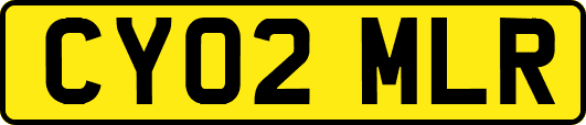 CY02MLR