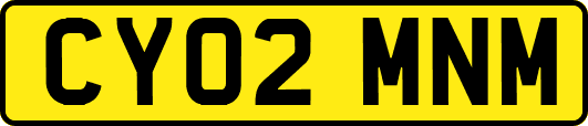 CY02MNM