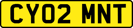 CY02MNT