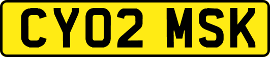 CY02MSK