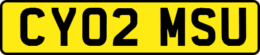 CY02MSU